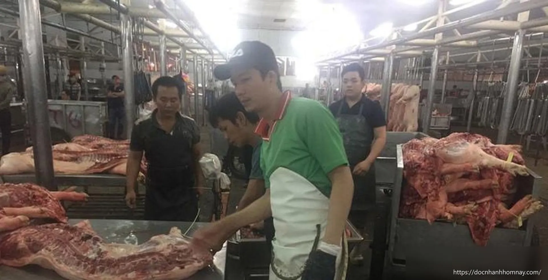 Giá heo hơi hôm nay 27-6: Giảm sâu, chạm đáy 2 tháng