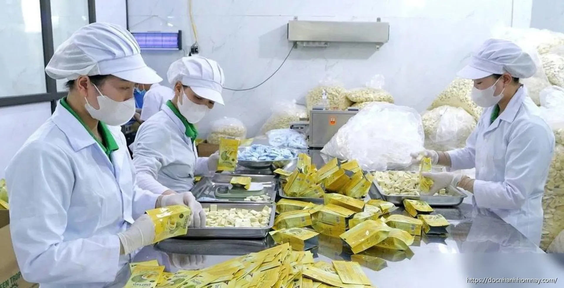 Khoa học công nghệ tạo động lực phát triển nông nghiệp Gia Lai