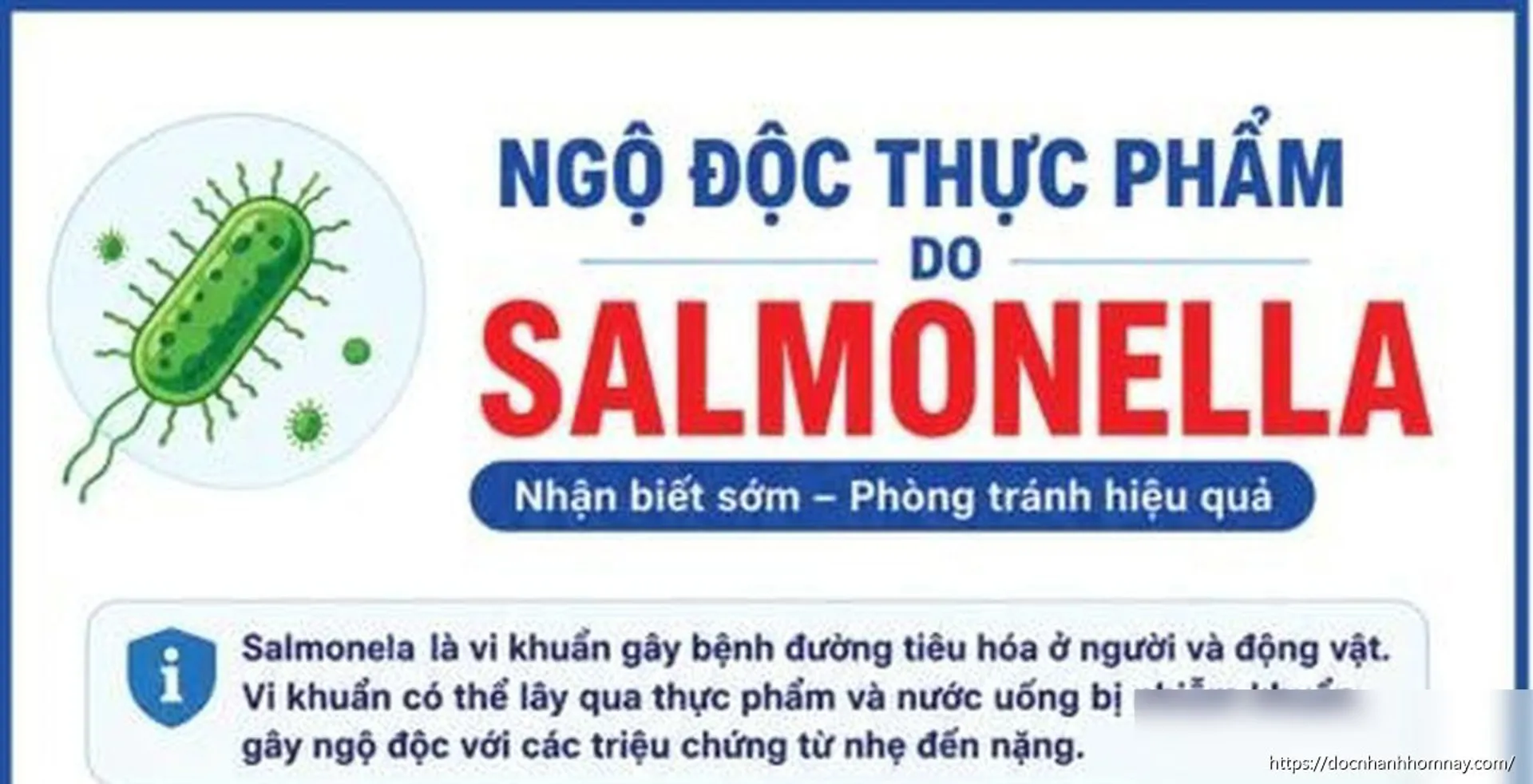 Ngộ độc thực phẩm do vi khuẩn Salmonella: Nhận biết sớm và phòng tránh hiệu quả