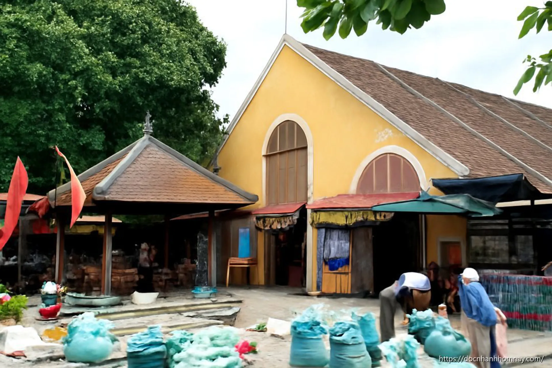 Khám Phá Mùa Lá Mồng 5 Tại Phố Cổ Hội An