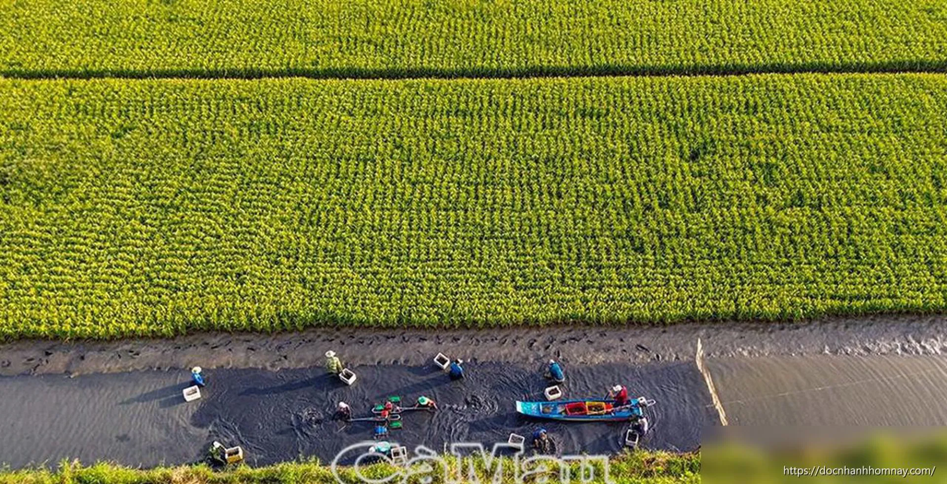 Thới Bình: Hành trình từ chiếc nôi cách mạng đến đô thị mới vươn mình