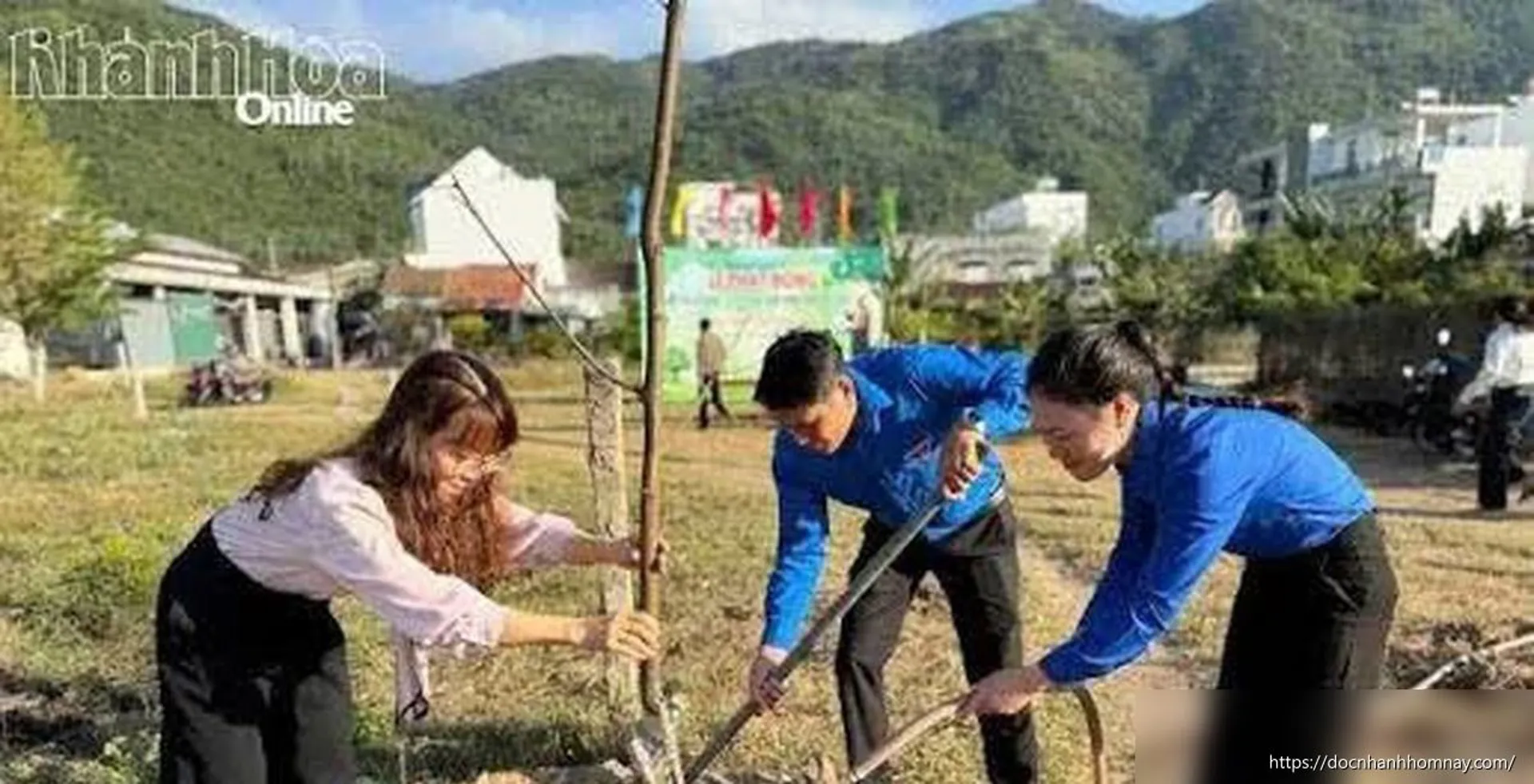 Khánh Hòa rà soát nhu cầu hỗ trợ trồng cây xanh giai đoạn 2026-2030