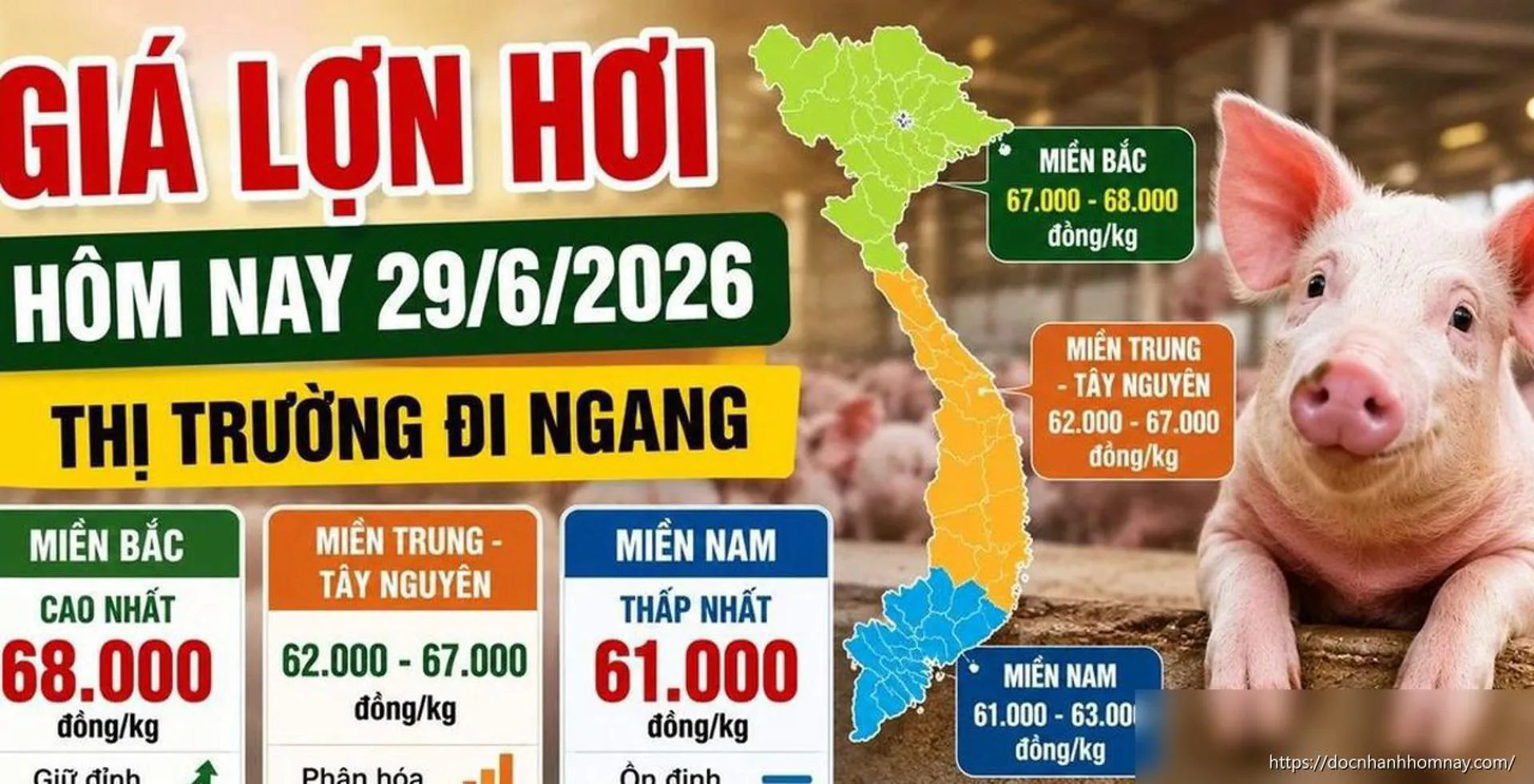 Giá lợn hơi hôm nay 29/6: Thị trường đi ngang, miền Bắc vẫn giữ đỉnh 68.000 đồng/kg