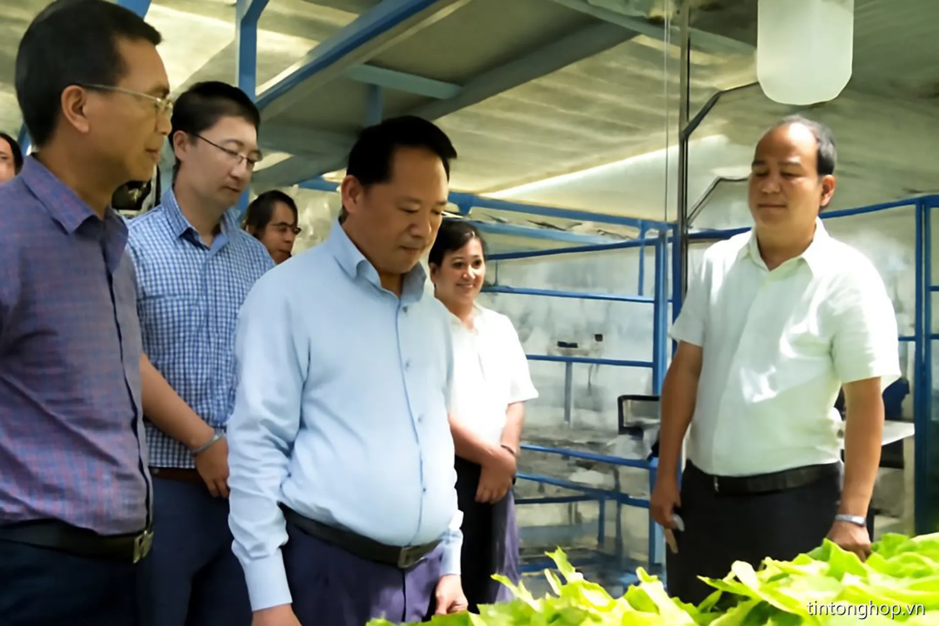 HAGL Stung Treng: Nông Nghiệp Công Nghệ Cao Tại Campuchia