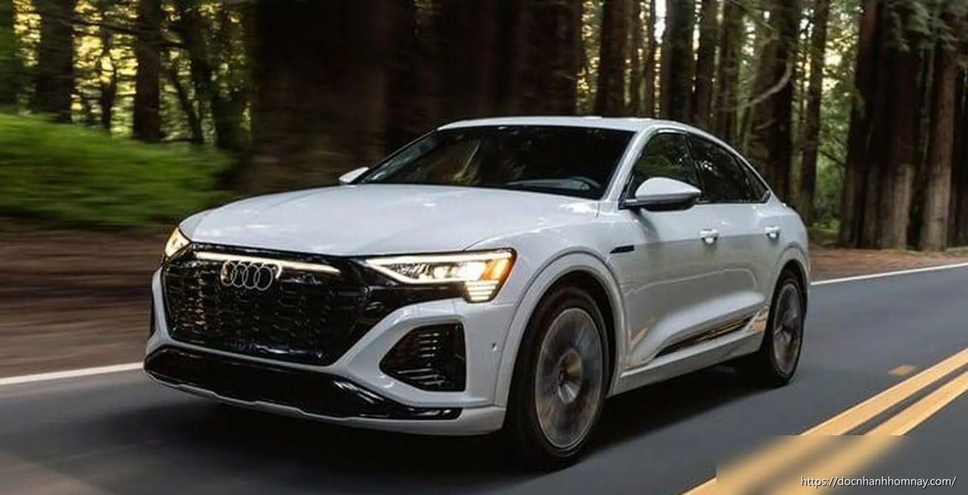 Audi Việt Nam triệu hồi e-tron và Q8 e-tron vì lỗi phanh nguy hiểm