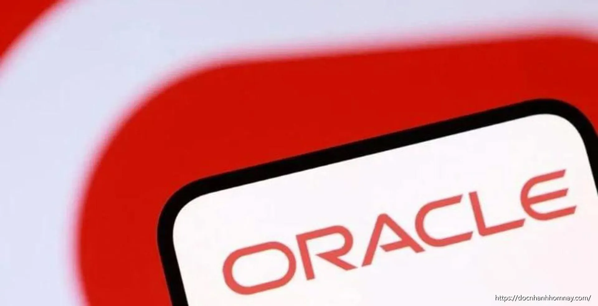 Oracle cắt giảm 13% nhân sự: Làn sóng tái cấu trúc vì AI và áp lực tài chính
