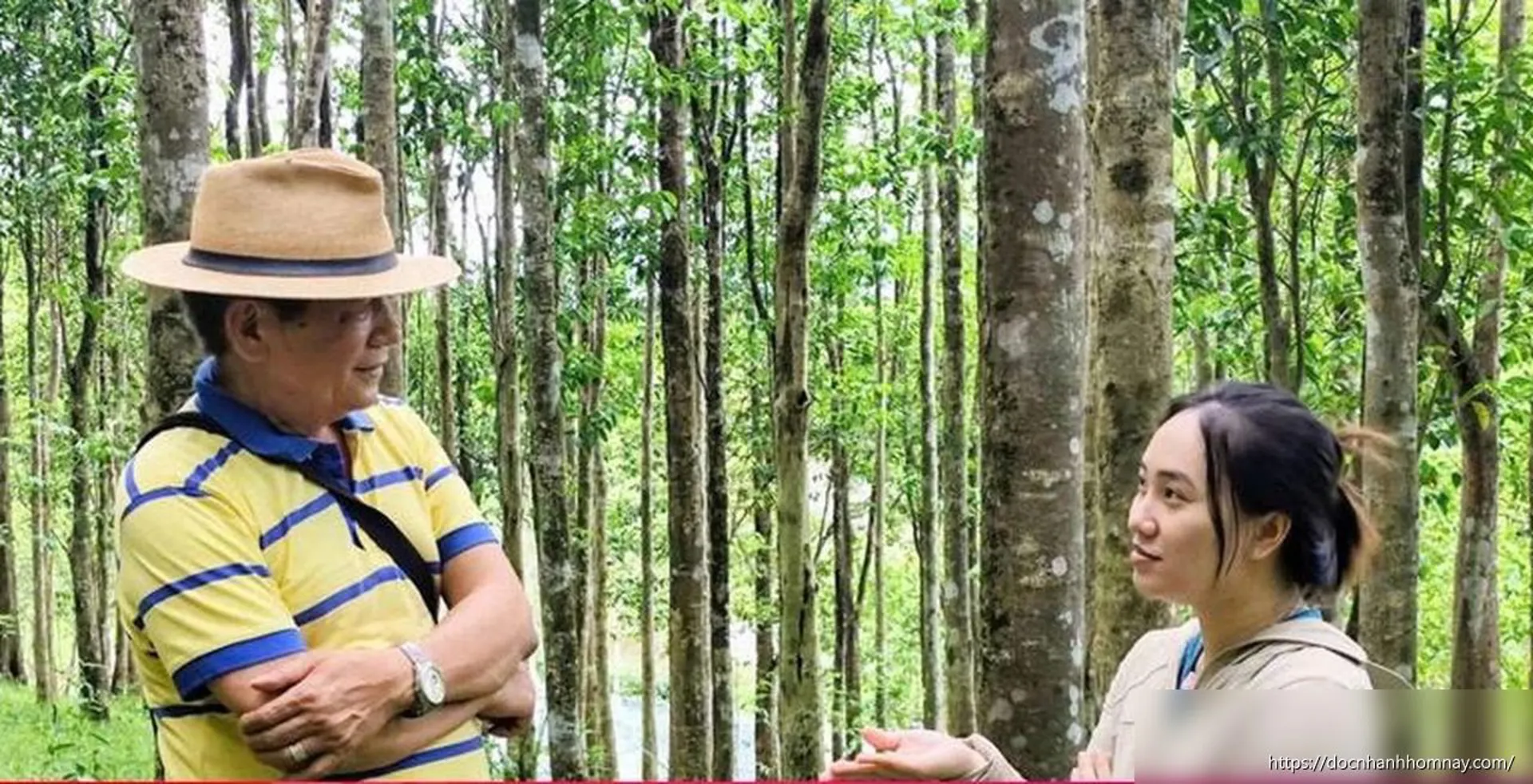 Đến xứ bưởi, nghe câu chuyện về trầm