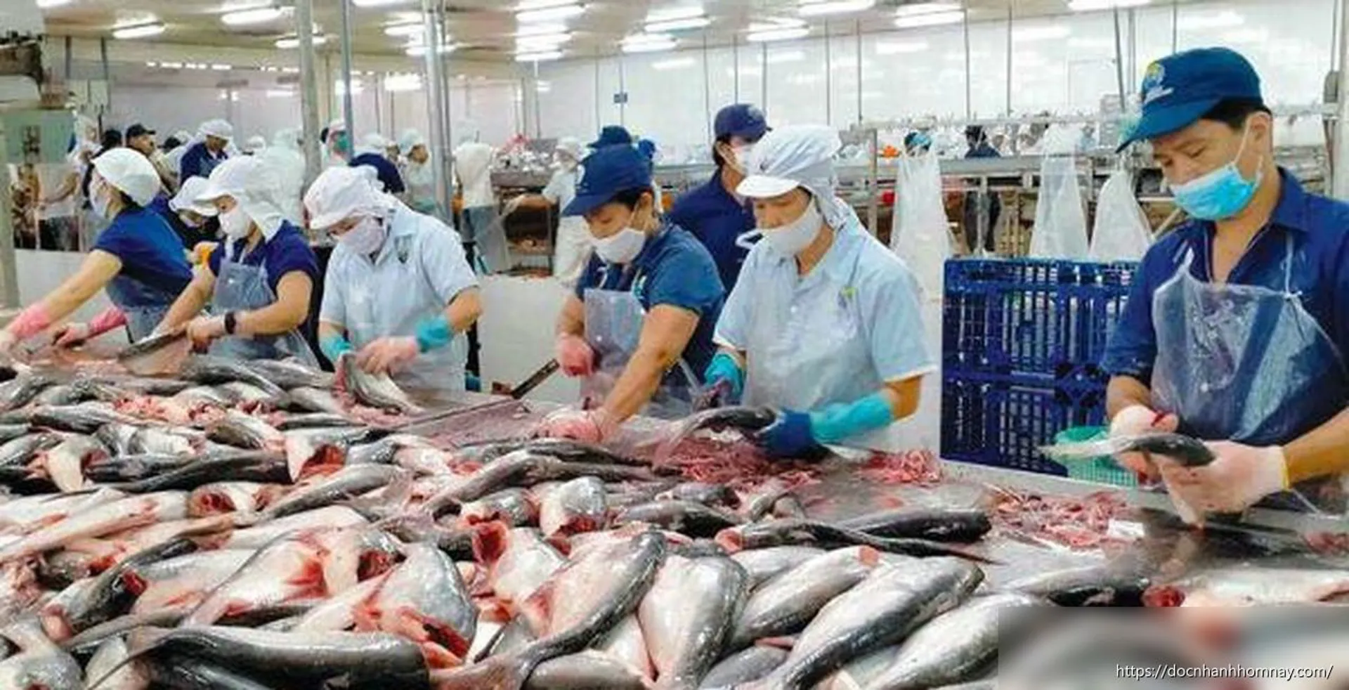Xuất khẩu thủy sản sang Mỹ, Trung Quốc tăng vọt trong tháng 6