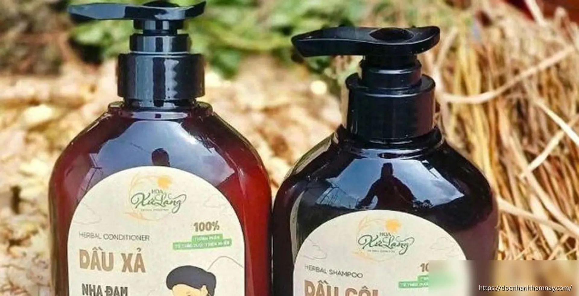 Thu hồi, tiêu hủy toàn quốc 2 sản phẩm dầu gội bồ kết, dầu xả nha đam
