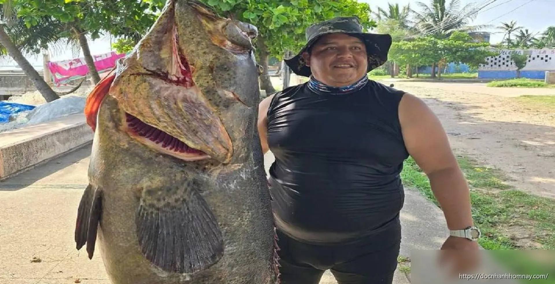 Hai cha con ngư dân Mexico bắt được cá mú khổng lồ nặng 75 kg