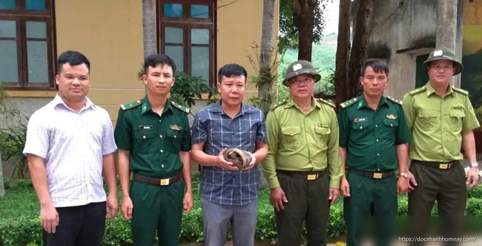 Hai cá thể Tê tê java được cứu hộ tại Quảng Trị