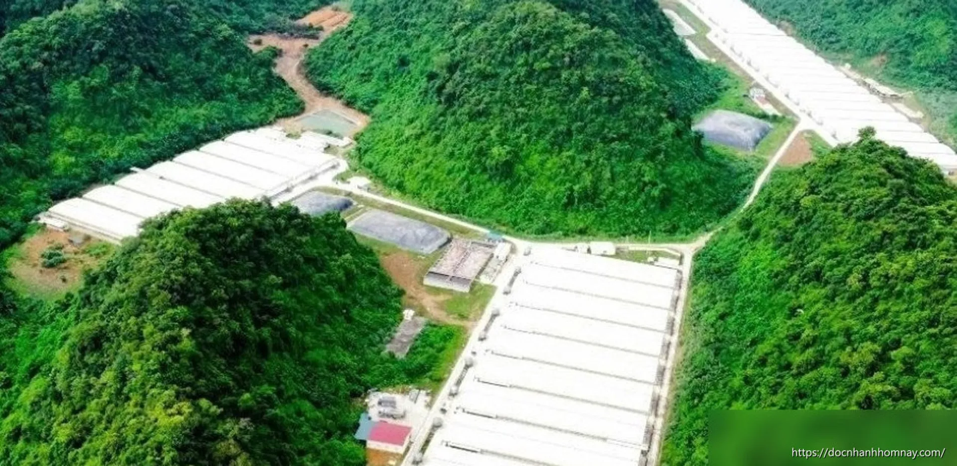 Vụ tai nạn thương tâm tại trang trại lợn ở Thanh Hóa: 5 người tử vong