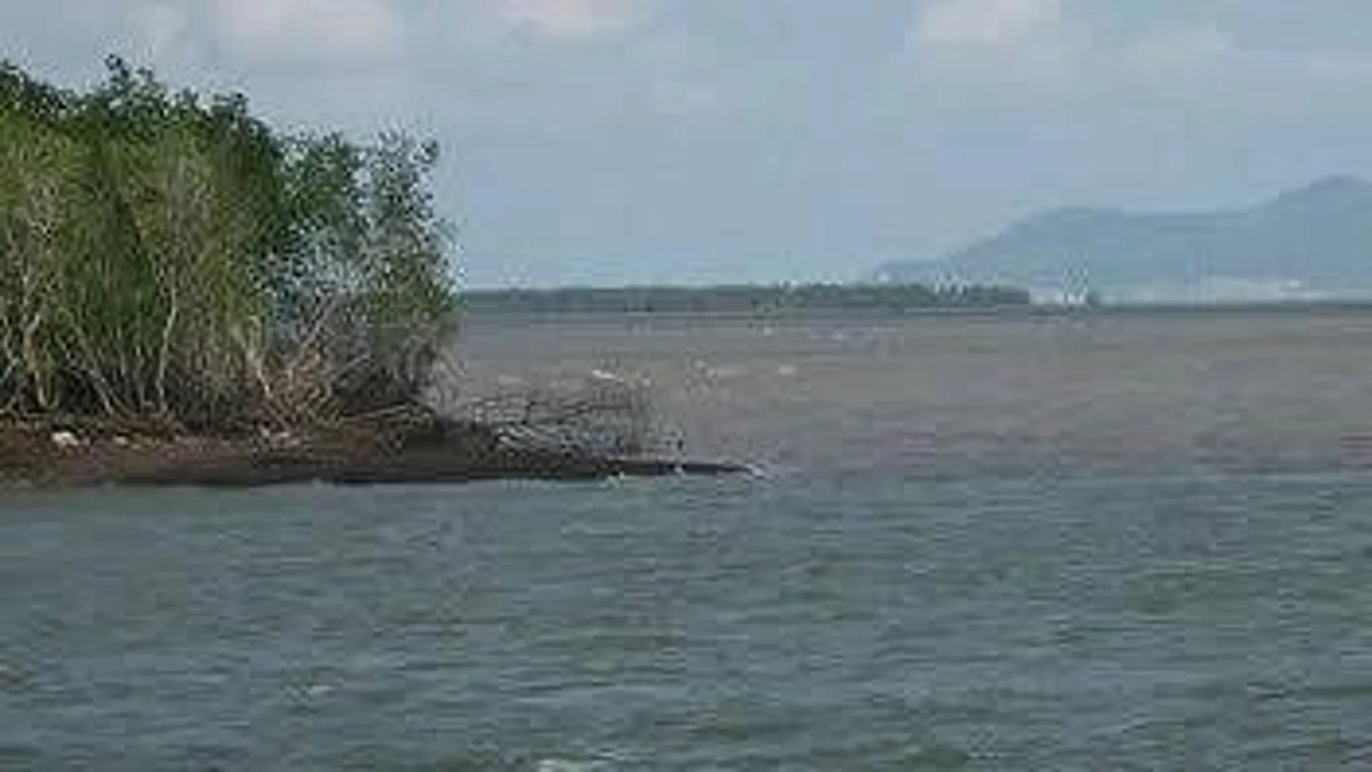 Lật canô trên sông Soài Rạp, một CSGT đường thủy mất tích