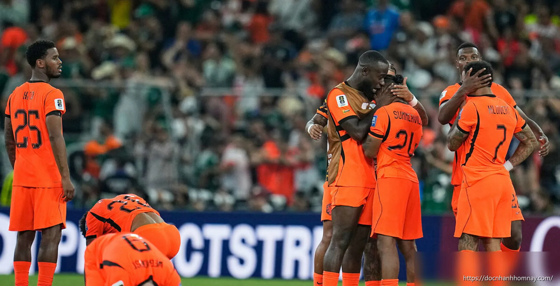 'Nhà tiên tri World Cup' xin lỗi Hà Lan vì dự đoán sai
