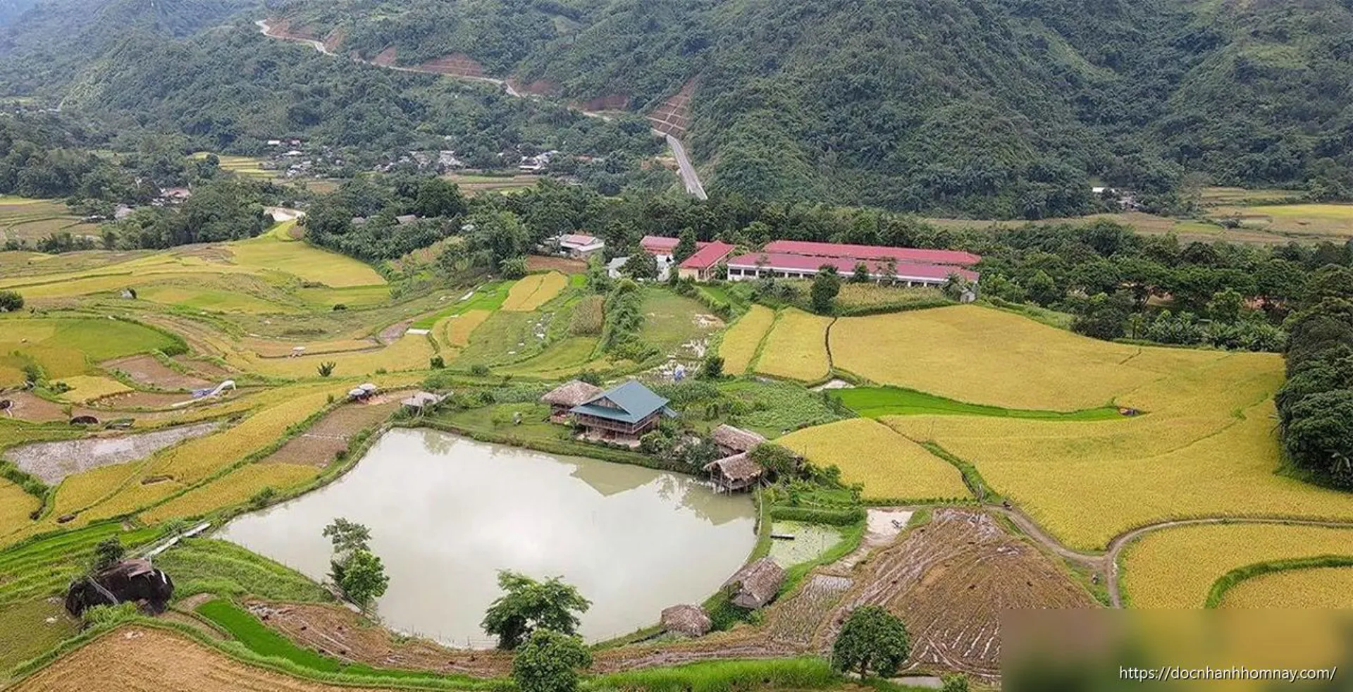 Đồng Phúc - Mùa vàng trên những bậc thang mây