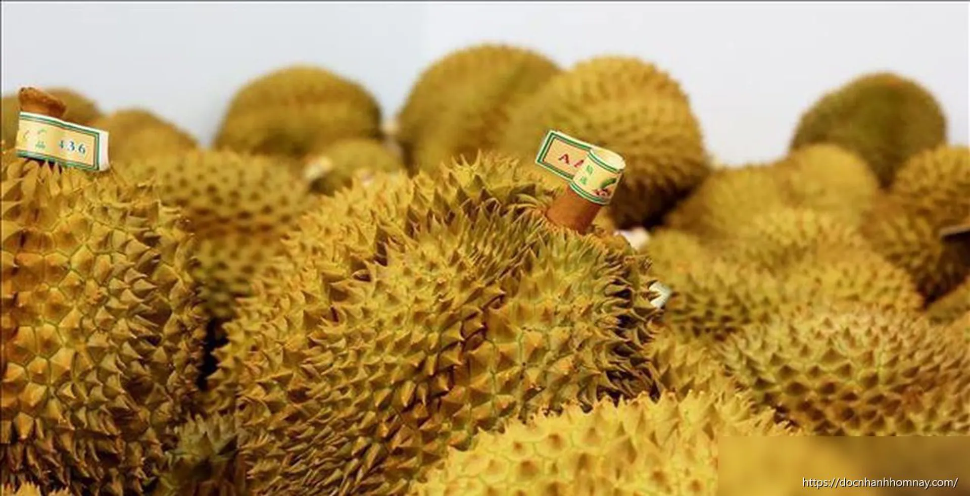 Nông sản Việt thêm cơ hội chinh phục thị trường nhờ truy xuất nguồn gốc