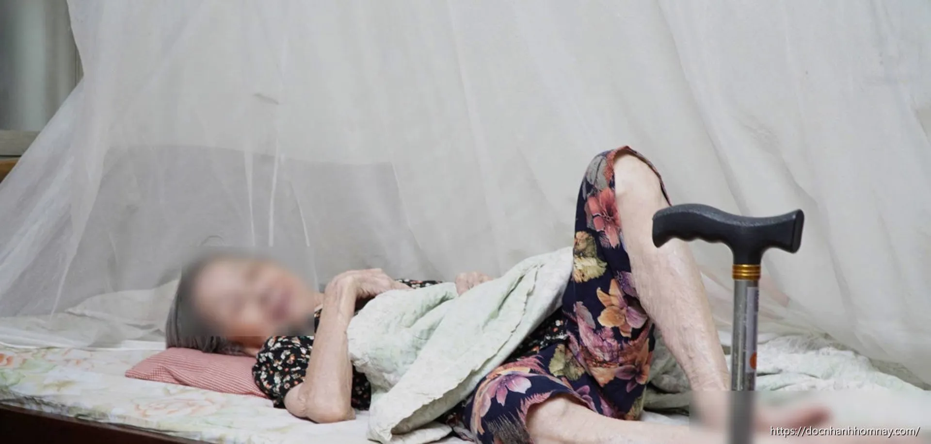 Vụ khiêng cụ 87 tuổi làm ủy quyền nhận lương: Phường nói do 'gia đình sốt ruột'