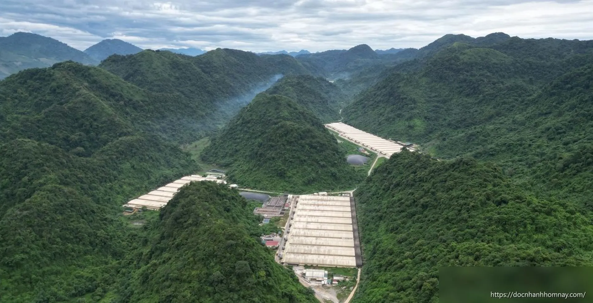 Điều tra toàn diện trại lợn Dabaco sau vụ 5 người chết