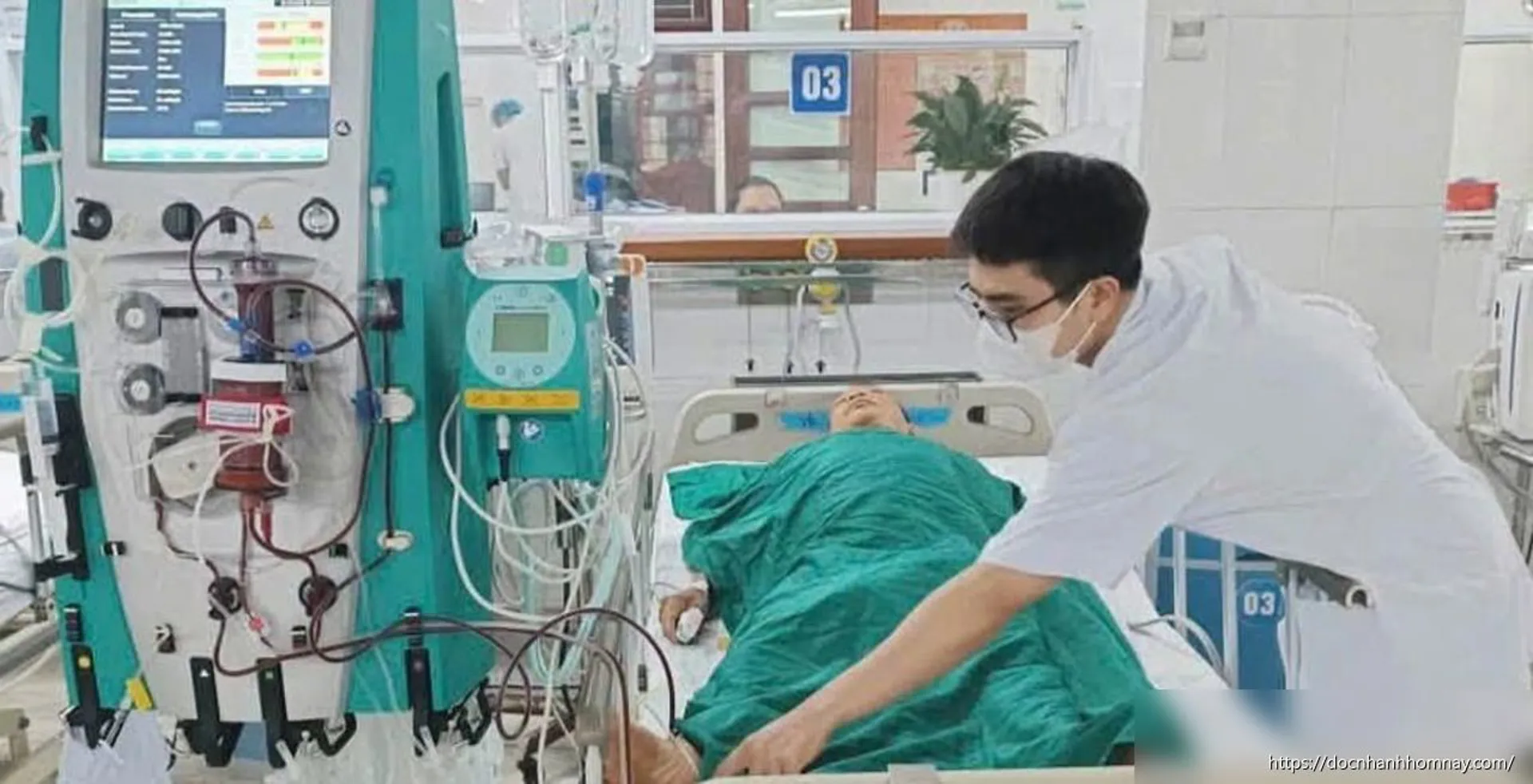 Nguy kịch vì ăn mật cá trắm chữa bệnh: Cảnh báo từ bác sĩ