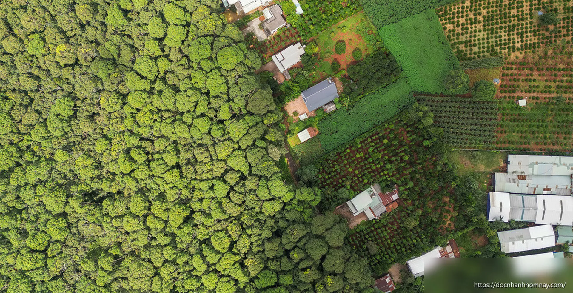 Việt Nam thu 56,5 triệu USD từ bán tín chỉ carbon cho World Bank