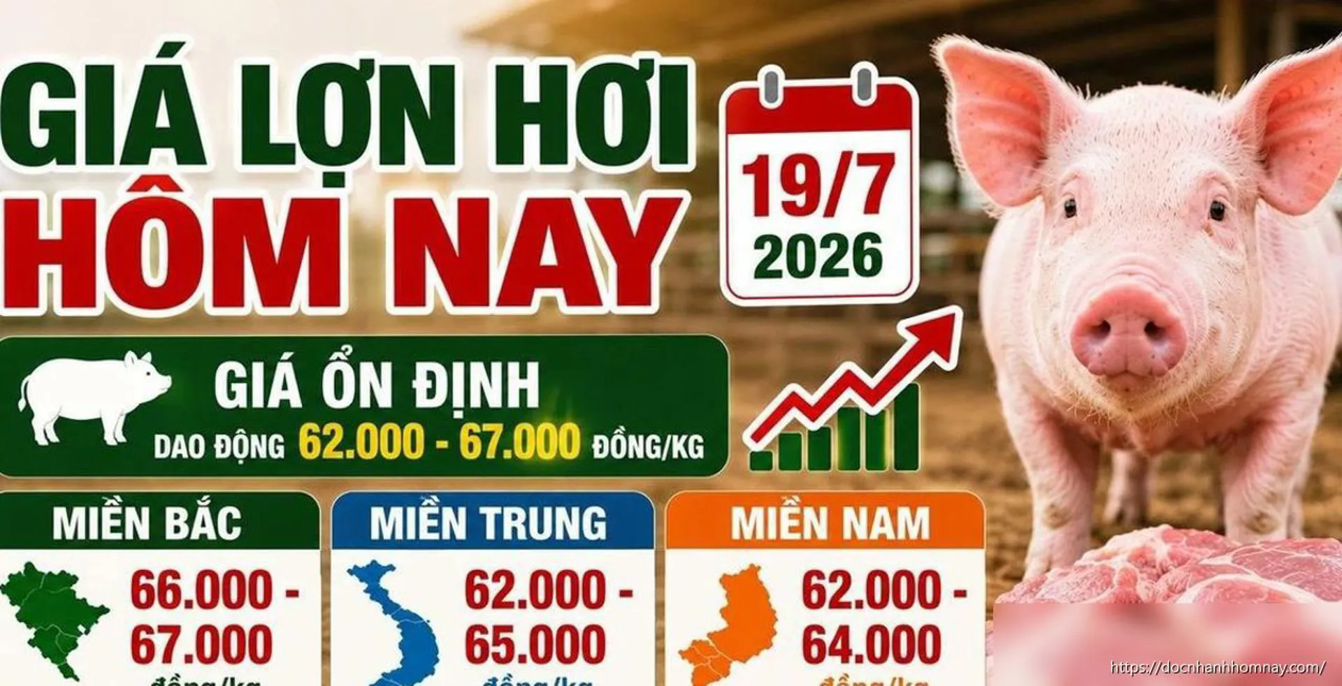 Giá lợn hơi hôm nay 19/7: Miền Bắc giữ đỉnh, chênh lệch ba miền rõ rệt