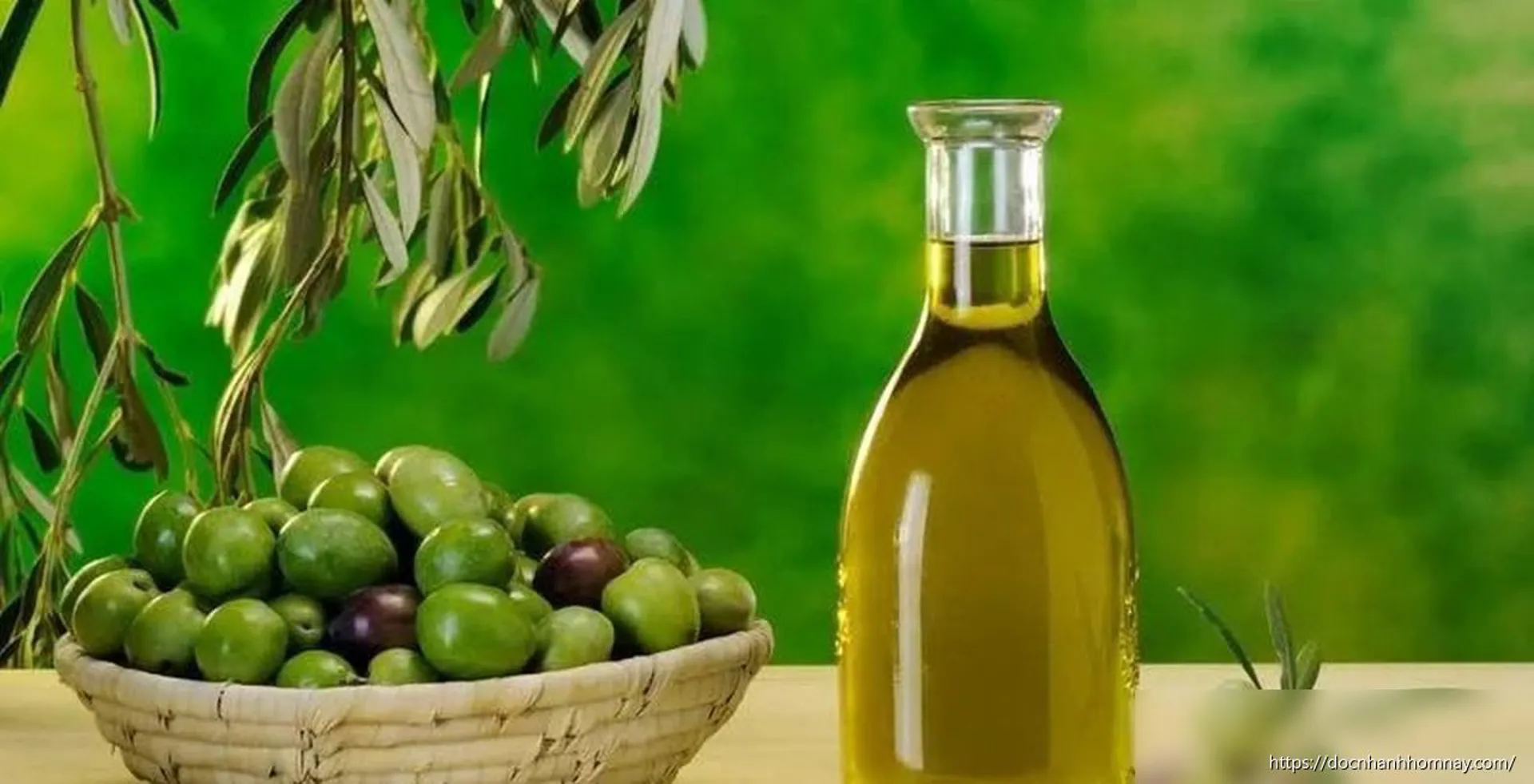 Nên chọn dầu ô liu nguyên chất hay tinh luyện để nấu ăn mỗi ngày?