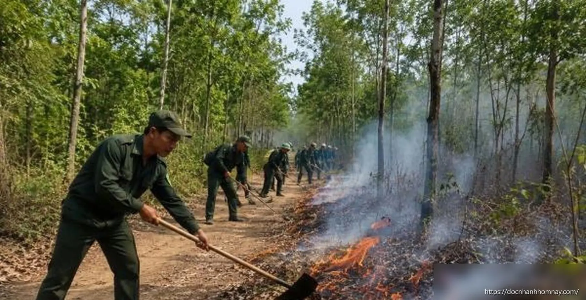 Đồng Tháp siết chặt phòng cháy, chữa cháy rừng trong mùa nắng nóng